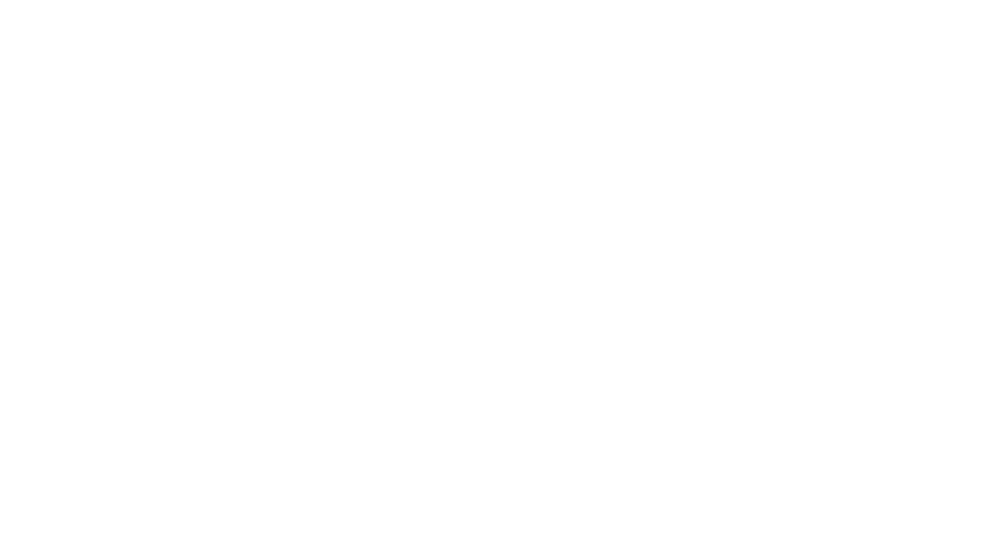 Jahres bericht Rapport annuel